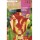S.BOLBO RO.GAVETA 100 TULIPAS PAPAGAIO SFLAMING PARRO-BUTG0470T