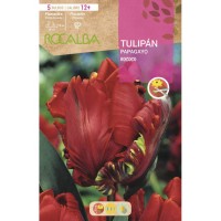 S.BOLBO RO.GAVETA 100 TULIPAS PAPAGAIO ROCOCO-BUTG0475