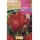 S.BOLBO RO.GAVETA 100 TULIPAS PAPAGAIO ROCOCO-BUTG0475