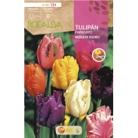 S.BOLBO RO.GAVETA 100 TULIPAS PAPAGAIO MISTURA DE CORES -BUTG0480