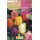 S.BOLBO RO.GAVETA 100 TULIPAS PAPAGAIO MISTURA DE CORES -BUTG0480