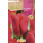 S.BOLBO RO.GAVETA 100 TULIPA VAN EIJK-BUTN0105