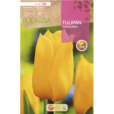 S.BOLBO RO.GAVETA 100 TULIPA YOKOHAMA-BUTN0115