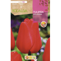 S.BOLBO RO.GAVETA 100 TULIPA APELDOORN-BUTN0120 S.BOLBO RO.GAVETA 100 TULIPA APELDOORN-BUTN0120