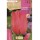 S.BOLBO RO.GAVETA 100 TULIPA DON QUIJOTE ROSA-BUTN0130