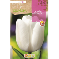 S.BOLBO RO.GAVETA 100 TULIPA WHITE DREM-BUTN0155 S.BOLBO RO.GAVETA 100 TULIPA WHITE DREM-BUTN0155
