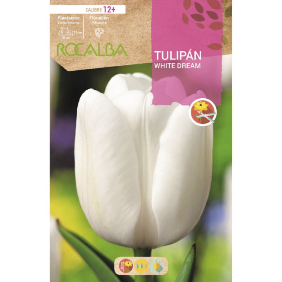 S.BOLBO RO.GAVETA 100 TULIPA WHITE DREM-BUTN0155 S.BOLBO RO.GAVETA 100 TULIPA WHITE DREM-BUTN0155