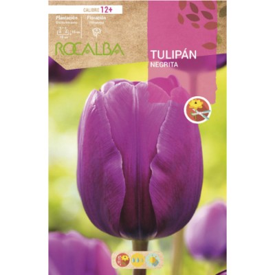 S.BOLBO RO.GAVETA 100 TULIPA NEGRITA-BUTN0165