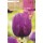 S.BOLBO RO.GAVETA 100 TULIPA NEGRITA-BUTN0165