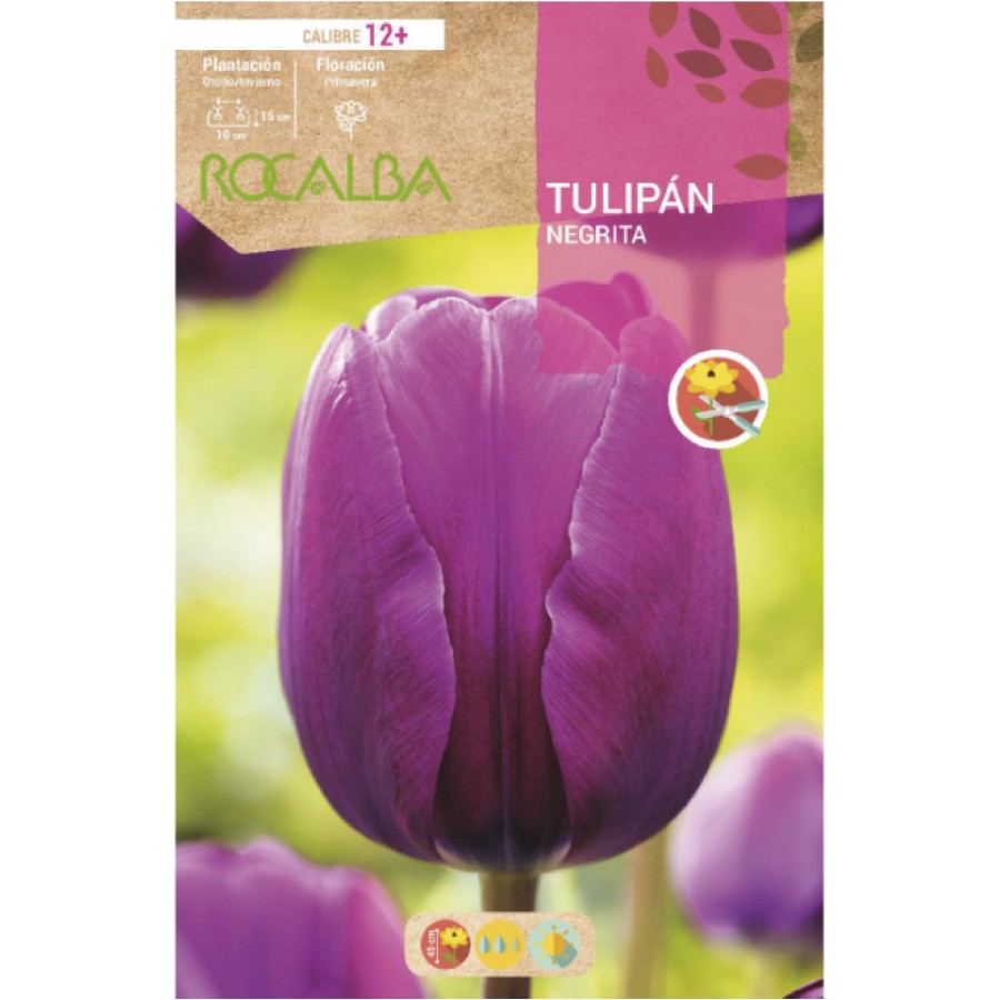 S.BOLBO RO.GAVETA 100 TULIPA NEGRITA-BUTN0165