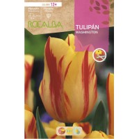 S.BOLBO RO.GAVETA 100 TULIPA WASHINGTON-BUTN0170 S.BOLBO RO.GAVETA 100 TULIPA WASHINGTON-BUTN0170