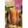 S.BOLBO RO.GAVETA 100 TULIPA WASHINGTON-BUTN0170