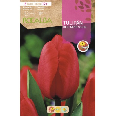 S.BOLBO RO.GAVETA 100 TULIPA RED IMPRESSION-BUTN0175
