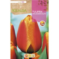 S.BOLBO RO.GAVETA 100 TULIPA APELDOORNS ELITE-BUTN0185