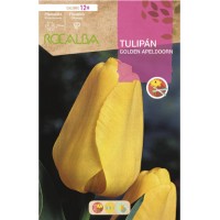 S.BOLBO RO.GAVETA 100 TULIPA GOLDEN APELDOORN-BUTN0195 S.BOLBO RO.GAVETA 100 TULIPA GOLDEN APELDOORN-BUTN0195