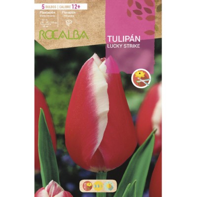 S.BOLBO RO.GAVETA 100 TULIPA LUCKY STRIKE-BUTN0200