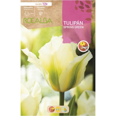 S.BOLBO RO.GAVETA 100 TULIPA SPRING GREEN-BUTN0210