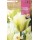 S.BOLBO RO.GAVETA 100 TULIPA SPRING GREEN-BUTN0210