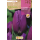S.BOLBO RO.GAVETA 100 TULIPA PURPLE FLAG-BUTN0215
