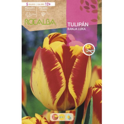 S.BOLBO RO.GAVETA 100 TULIPA BANJA LUKA-BUTN0220