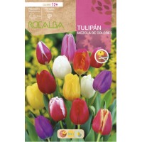 S.BOLBO RO.GAVETA 100 TULIPA MISTURA CORES-BUTN0230 S.BOLBO RO.GAVETA 100 TULIPA MISTURA CORES-BUTN0230