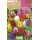 S.BOLBO RO.GAVETA 100 TULIPA MISTURA CORES-BUTN0230