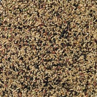 DELI NATURE MISTURA DE CANARIOS CRIAÇAO S/NABO - 20 KG