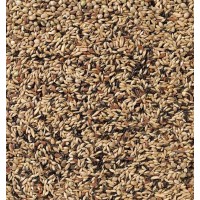 DELI NATURE MISTURA DE CANARIOS DIETA - 20 KG