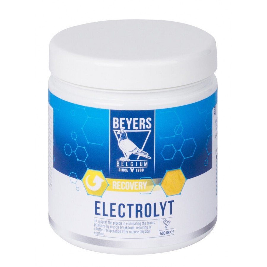 BEYERS ELECTROLYT PLUS 500 GR BEYERS ELECTROLYT PLUS 500 GR