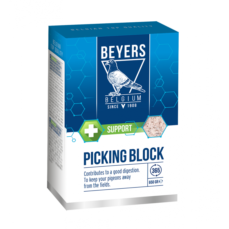 BEYERS BLOCO SALGADO 650 GR BEYERS BLOCO SALGADO 650 GR