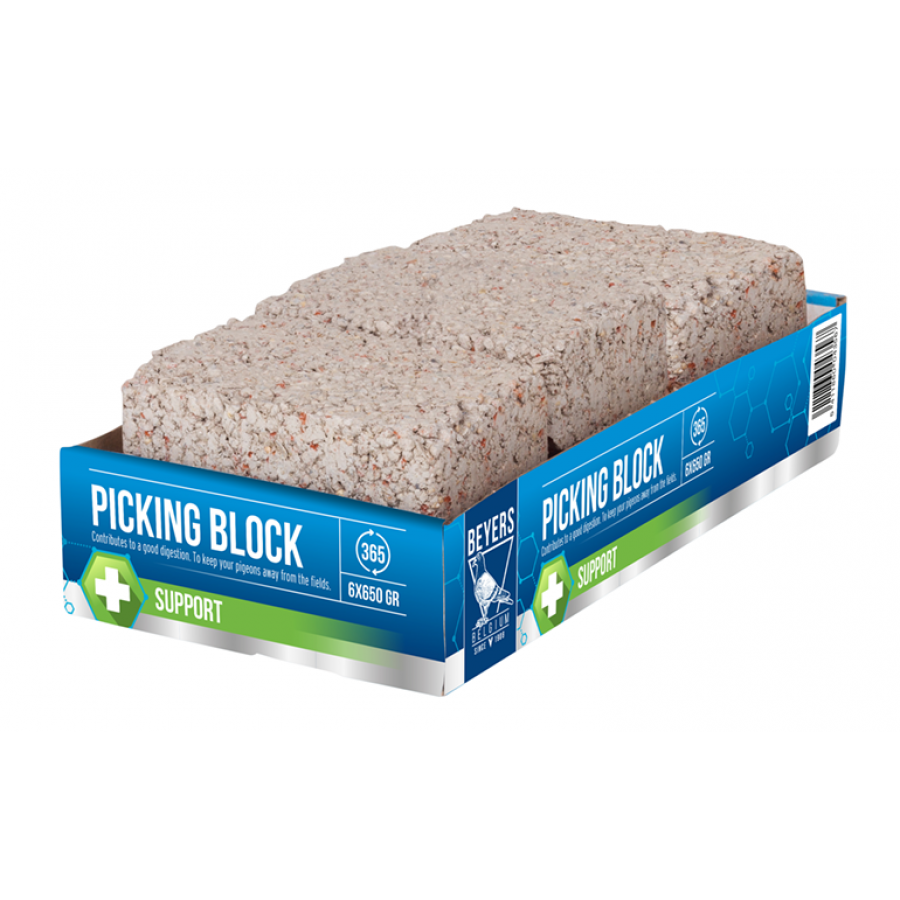 BEYERS BLOCO SALGADO PACK 6