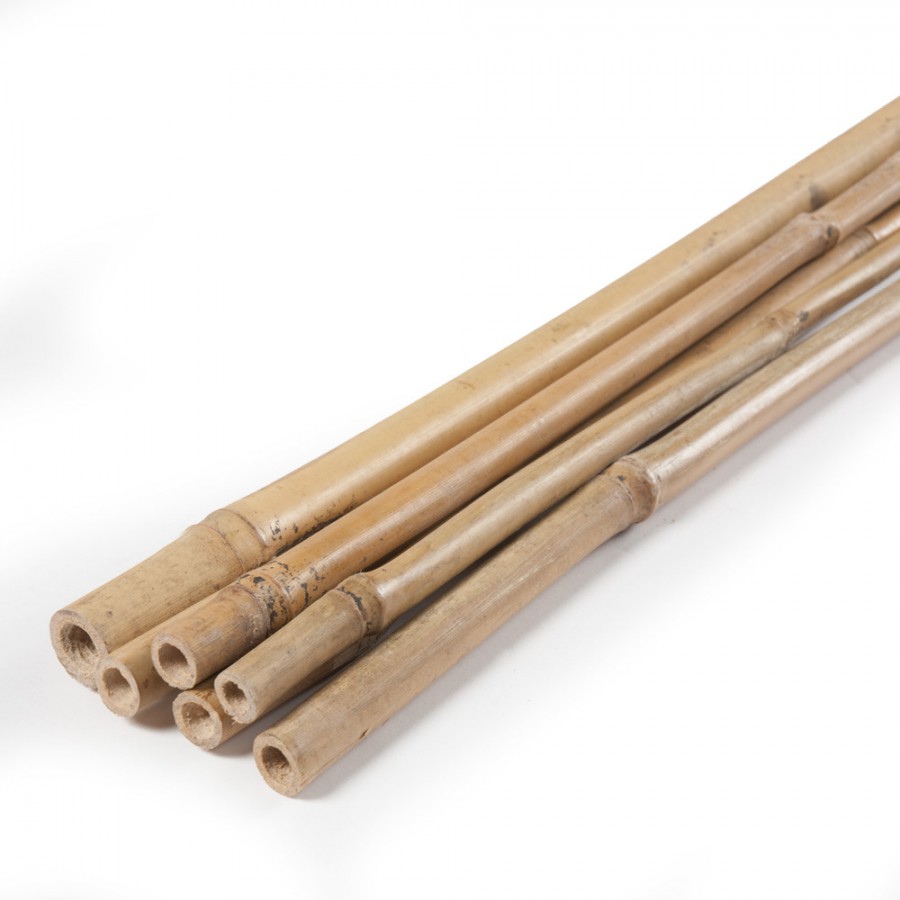 CANA DE BAMBOO PACK 1 UNID. 180CM CANA DE BAMBOO PACK 1 UNID. 180CM