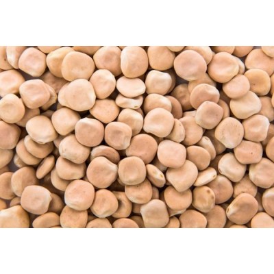 CEREAL TREMOÇO                    - KILO