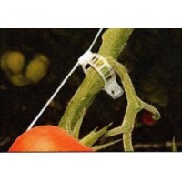CLIPES / ANEL DE TUTORAMENTO DE PLANTAS (25MM)- CAIXA COM 9000 UNIDADES CLIPES / ANEL DE TUTORAMENTO DE PLANTAS (25MM)- CAIXA COM 9000 UNIDADES