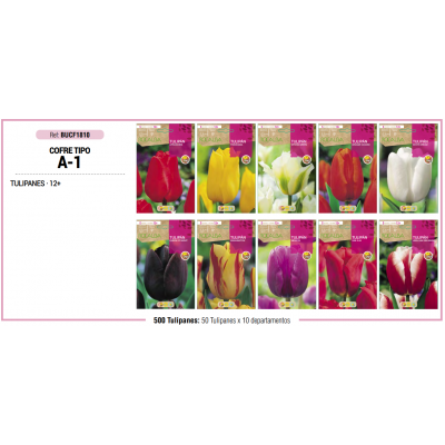 S.BOLBO RO.COFRE TIPO- A-1 TULIPAS