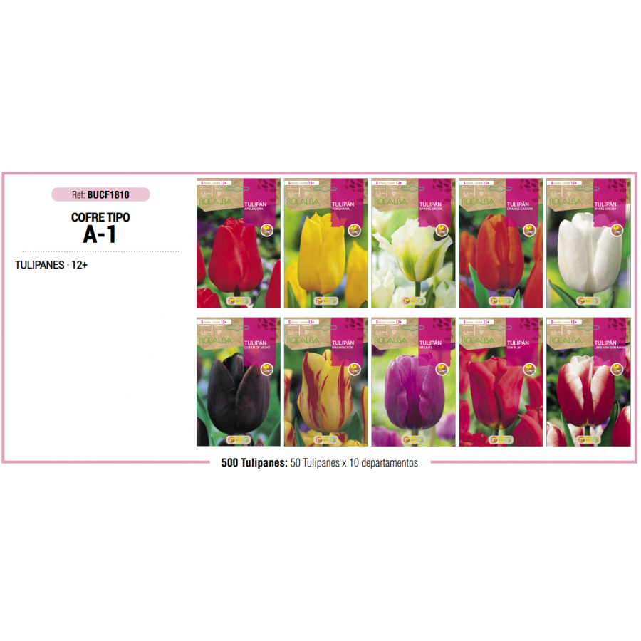 S.BOLBO RO.COFRE TIPO- A-1 TULIPAS S.BOLBO RO.COFRE TIPO- A-1 TULIPAS