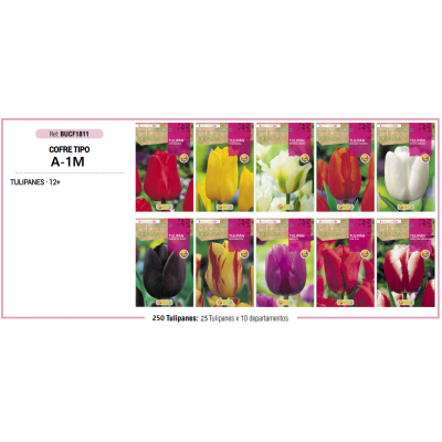 S.BOLBO RO.COFRE MINI TIPO- A-1 TULIPAS   - BUCF1811