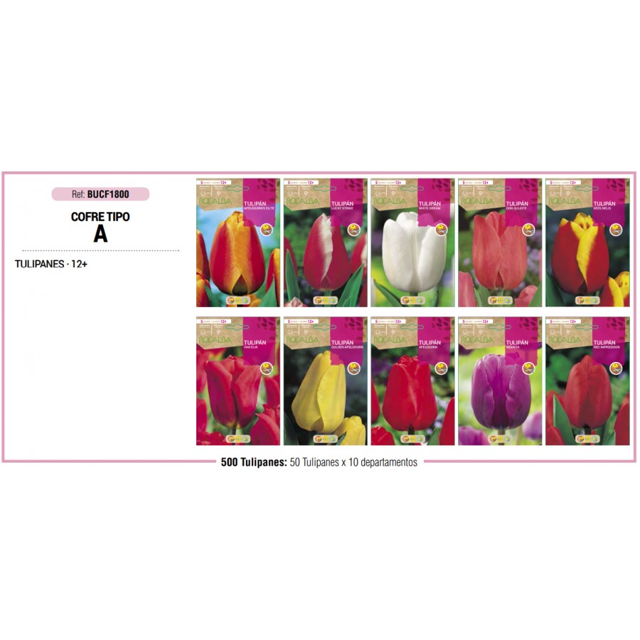 S.BOLBO RO.COFRE TIPO- A TULIPAS   - BUCF1800