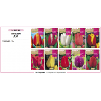S.BOLBO RO.COFRE MINI TIPO- A TULIPAS   - BUCF1801