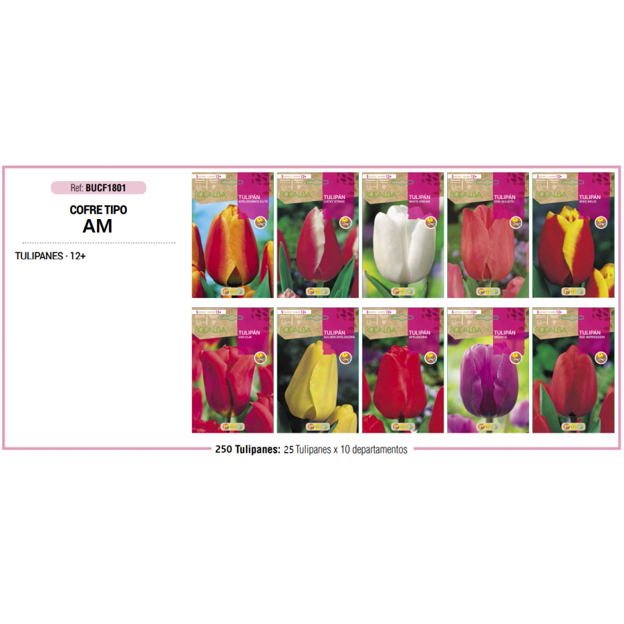 S.BOLBO RO.COFRE MINI TIPO- A TULIPAS   - BUCF1801