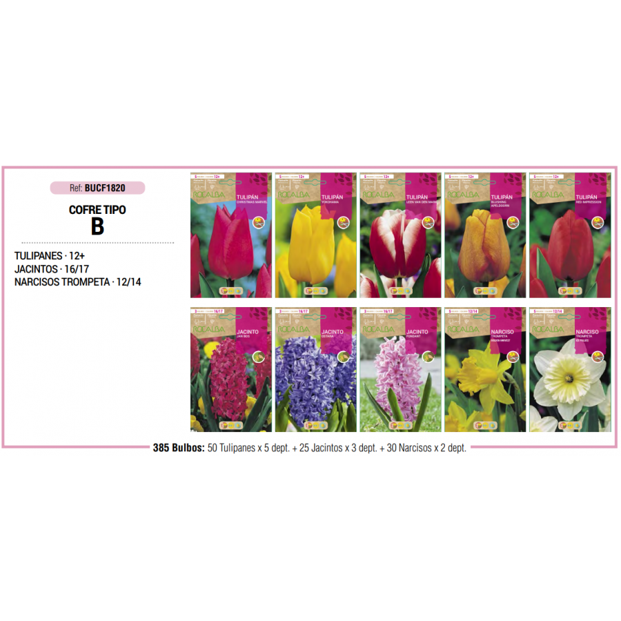 S.BOLBO RO.COFRE TIPO- B TULIPA,JACINT.,NARCISOS