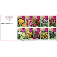 S.BOLBO RO.COFRE TIPO- CL JARROS - BUCF4475