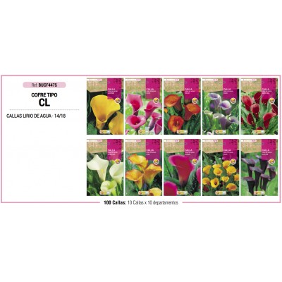 S.BOLBO RO.COFRE TIPO- CL JARROS - BUCF4475