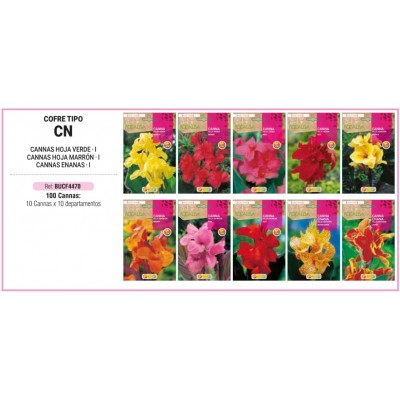 S.BOLBO RO.COFRE TIPO- CN CANNAS - BUCF4470