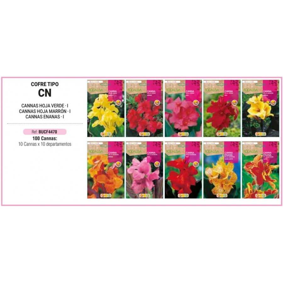 S.BOLBO RO.COFRE TIPO- CN CANNAS - BUCF4470
