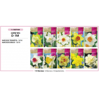 S.BOLBO RO.COFRE TIPO MINI - D-1 NARCISOS BUCF1841 S.BOLBO RO.COFRE TIPO MINI - D-1 NARCISOS BUCF1841