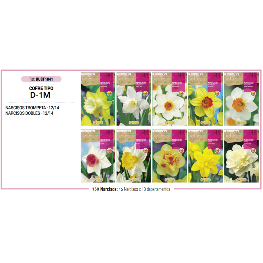 S.BOLBO RO.COFRE TIPO MINI - D-1 NARCISOS BUCF1841 S.BOLBO RO.COFRE TIPO MINI - D-1 NARCISOS BUCF1841