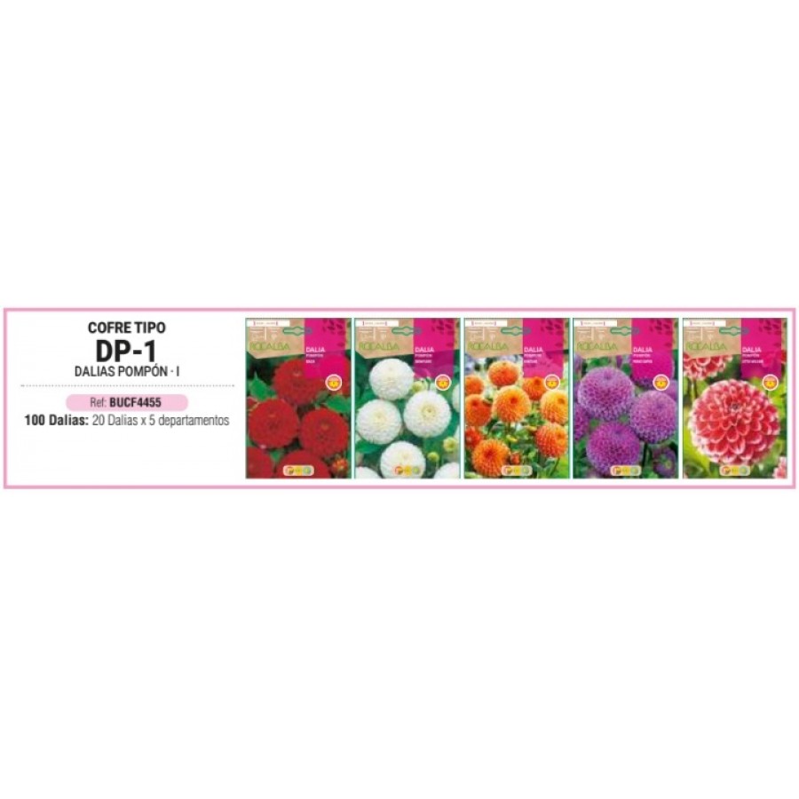 S.BOLBO RO.COFRE TIPO- DP-1 DALIAS POMPON - BUCF4455 S.BOLBO RO.COFRE TIPO- DP-1 DALIAS POMPON - BUCF4455