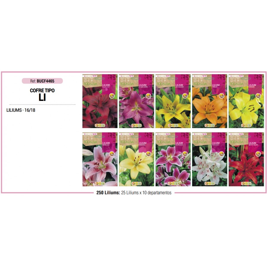 S.BOLBO RO.COFRE TIPO- LI LILIUS - BUCF4465 S.BOLBO RO.COFRE TIPO- LI LILIUS - BUCF4465
