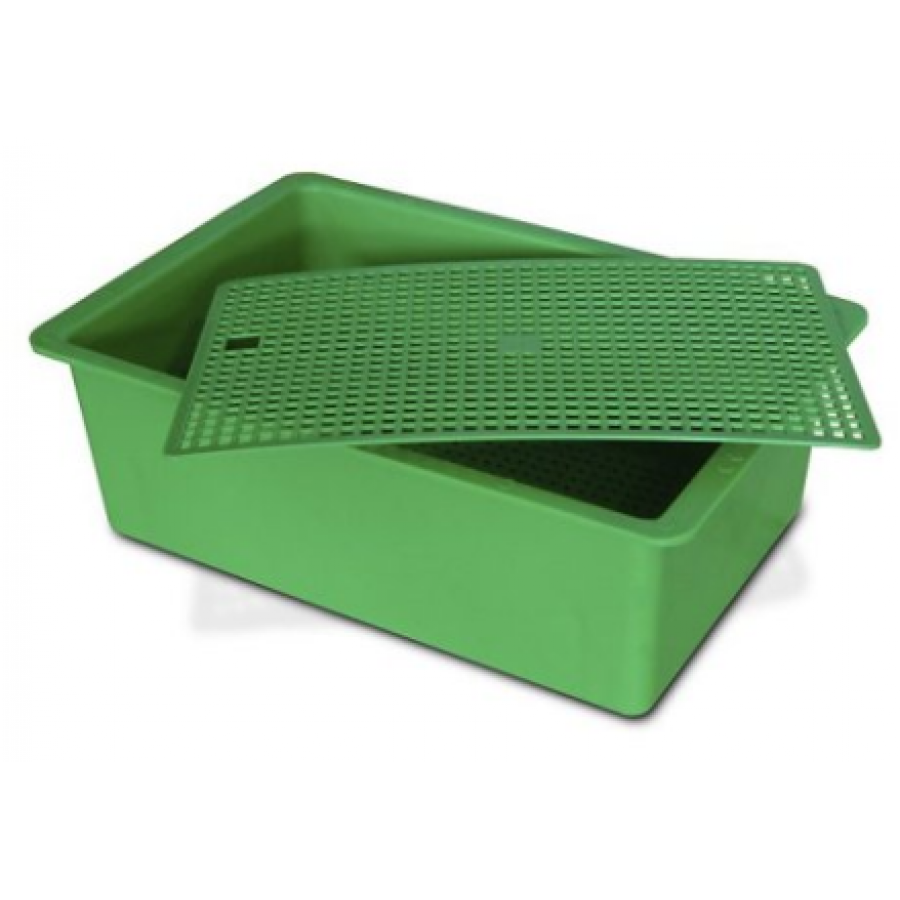 GC.FUNDO VERDE COMPLETO NINHO COELHOS GC.FUNDO VERDE COMPLETO NINHO COELHOS